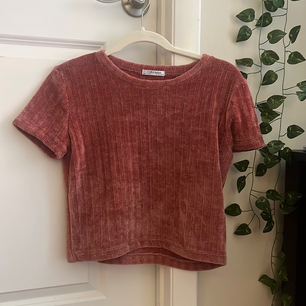 Zara Velvet T Shirt